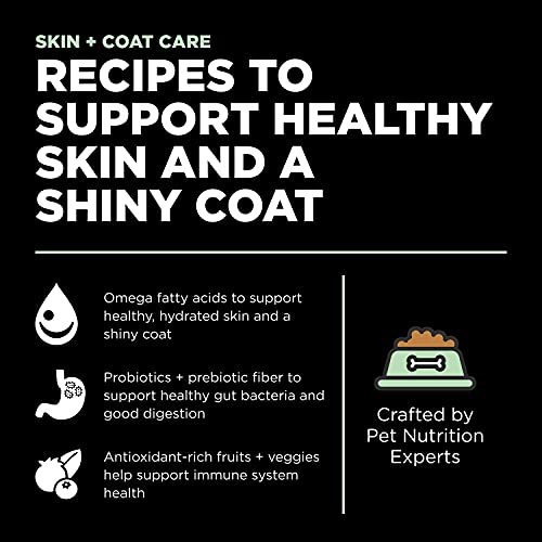 Skin + Coat Care Turkey Dry Dog Food with Grains (3.5 Pound (Pack of 1))