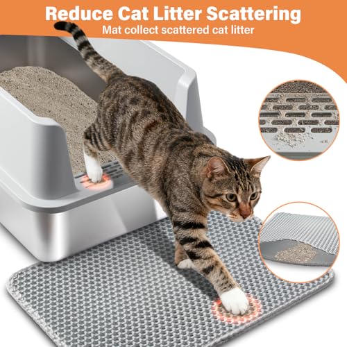 2PCS Stainless Steel Litter Box with Lid XL (2Pack-XL-lid box10"H)