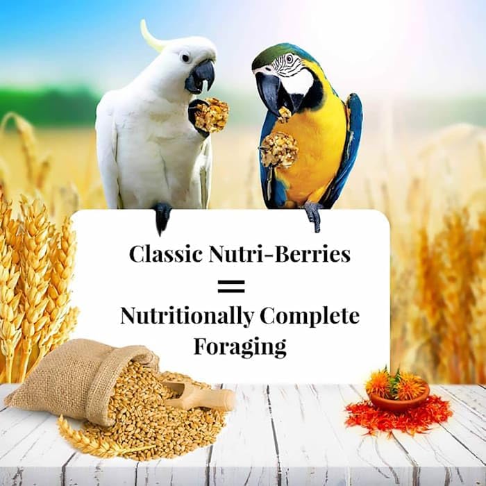 Classic Nutri (3.5 Pound (Pack of 1))