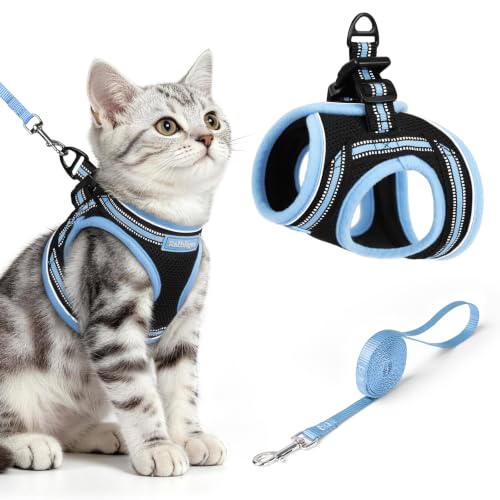 Cat Harness and Leash Set (M / Black & Light Blue)