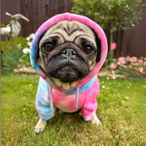 Dog Hoodie Buttery (Snow Cone Skydye / Large)