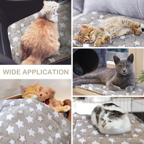 4 Pcs Dog Crate Pads Soft Warm (Rectangular 18 x 14 x 1.6 Inch / Star / Apricot)