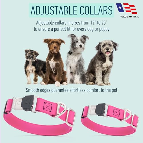 Biothane Waterproof Dog Collar with Herm Sprenger Stainless Steel Quick Release Buckle (W 3/4" x L 12"-19" / Passionfruit Pink)