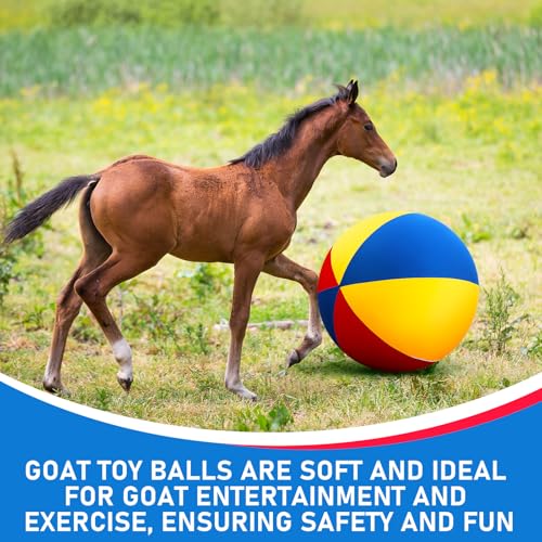 Giant 40 Inch Herding Balls with Ball Cover (Colorful / 40 Inch / Cute)