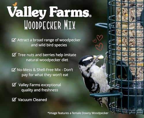 Woodpecker Mix (15 Pound (Pack of 1))
