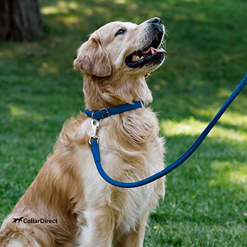 Tangle Free Rolled Leather Dog Collar (Deep Blue / L)