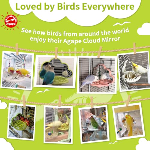 Bird Mirror with Perch&Slow Feeder (Olive / 7.28" L x 3.5" W x 5.5" H)
