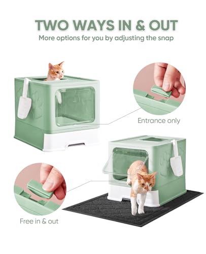 Cat Litter Box with X (Upgrade Green)