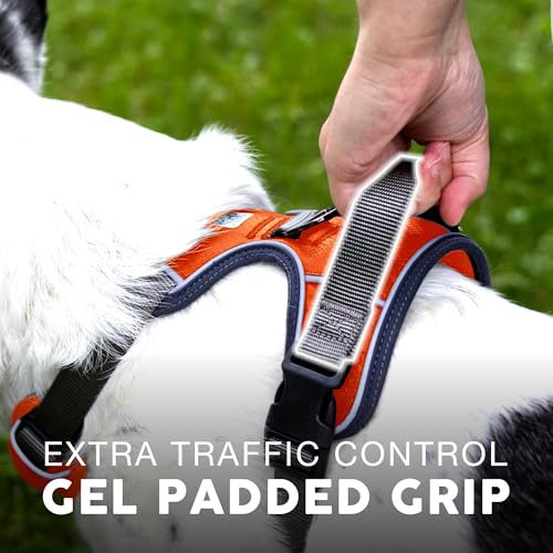 Embark No Pull Dog Harness (S / Orange)