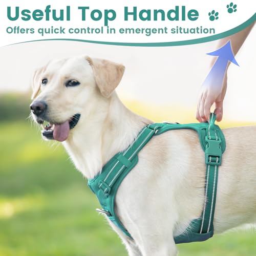 No Pull Dog Harness Front Clip Handle (Marrs Green / M(Neck:18.5-25.6",Chest:20.9-30.7"))