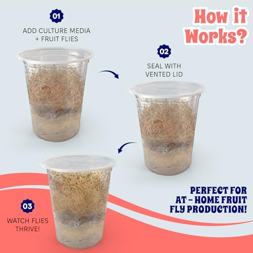 Deli Cups with Fabric Vented Lids (32oz/10 cups)