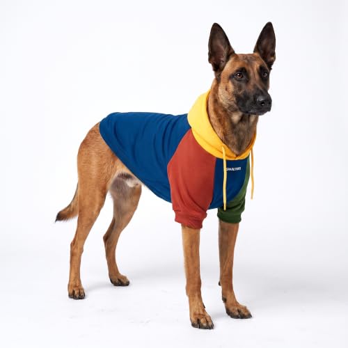 Dog Hoodie Buttery (Primary Color Block / 4XL)