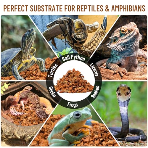 10LB Coconut Husk Chip for Reptiles (1 Pack-10LB)