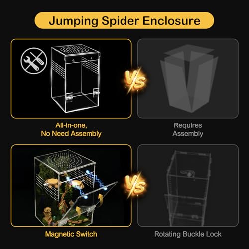 Jumping Spider Enclosure Starter Kit (Green / Large)