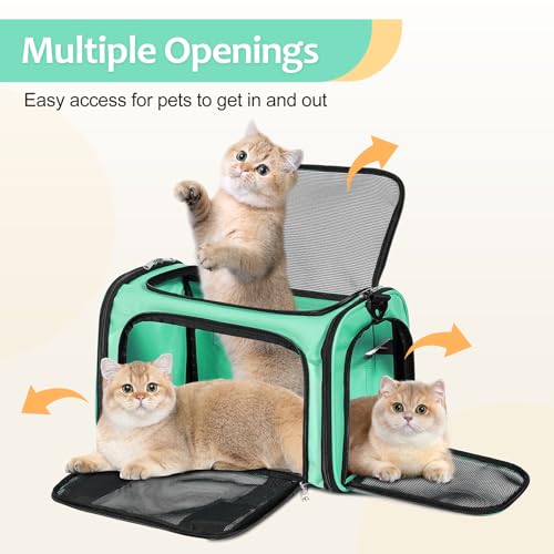 Cat Dog Carrier Up to 15 Lbs TSA Airline Approved Pet Carrier for Small Medium Cats Puppies Dog Carriers for Small Dogs Collapsible Soft Sided Cat Travel Carrier (15.8"L x 10.2"W x 10.2"H / Green)