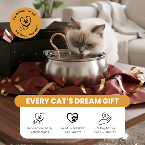 Stainless Steel Cat Water Fountain Automatic Drinking Fountain (Stainless Steel / 4L)