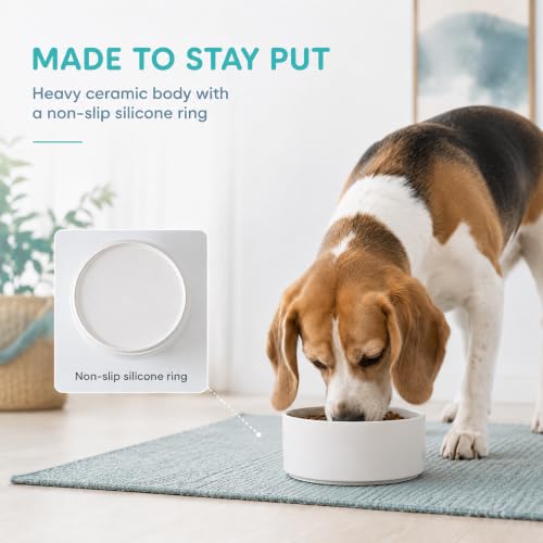 Ceramic Dog Bowls (Matte White)
