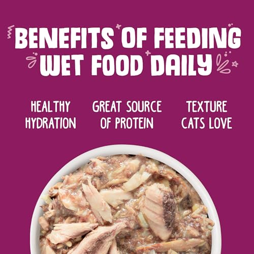 Classic Cat Food (5.5 Ounce (Pack of 24))
