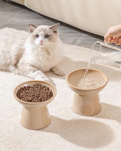 2 Pack Extra Wide Elevated Cat Bowls (Brown)