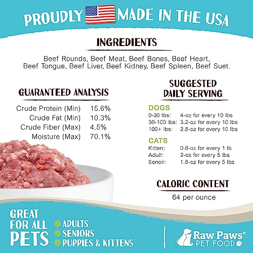 Frozen Raw Beef Recipe Dog & Cat Food (1 Pound (Pack of 10))