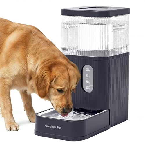 2.9 Gallon Automatic Dog Water Dispenser with Stainless Steel Bowl (Grey / 2.9 Gallon)