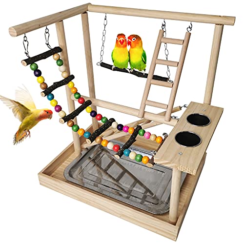 Bird Playground Parakeet Play Gym Wooden Parrot Perch Stand