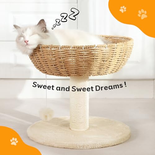 Small Cat Tree with 17.5 (4)
