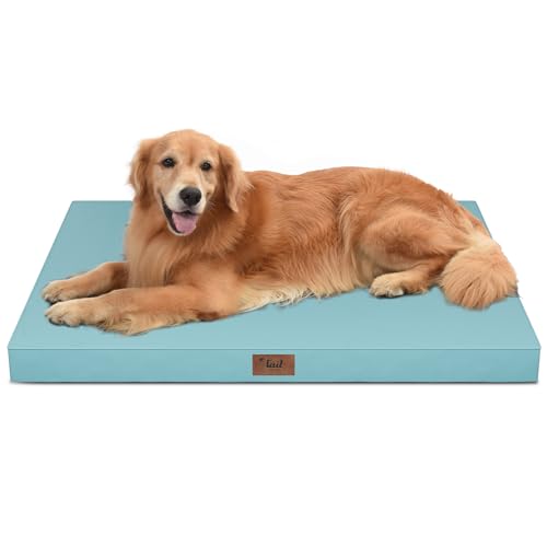 Waterproof Orthopedic Outdoor Dog Bed XL for Extra Large Dogs (Light Blue / 44.0"L x 32.0"W x 3.5"Th)