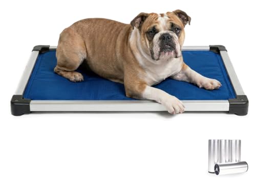 Chew Proof Armored Crate Bed 35 x 22 for Medium Dogs (Medium (35" L x 22" W x 1" H) / Blue Quartz)