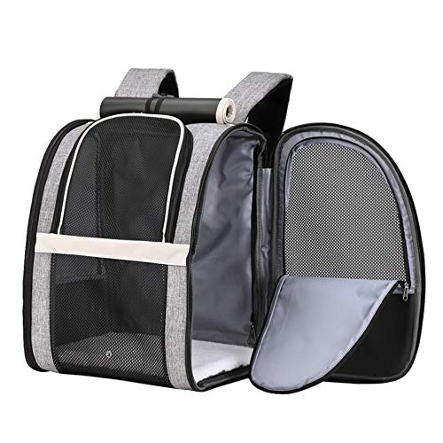 Innovative Traveler Bubble Backpack Pet Carriers for Cats and Dogs (Upgraded-Black)