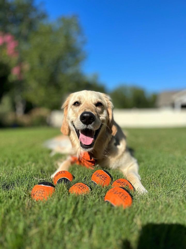 Orange Black Dog Halloween Tennis Balls Fetch Toy