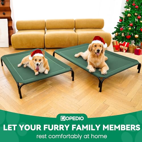 Elevated Dog Bed Outdoor Cooling Raised Cot for XL Dogs (XL-48.8"L×35.8"W×7.9"Th / Green)