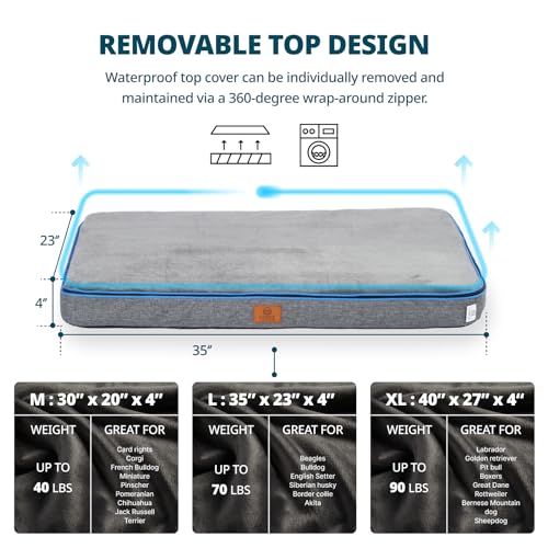 Memory Foam Large Dog Bed (35.0"L x 23.0"W x 4.0"Th / Dark Grey)