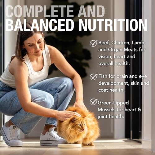Variety Pack Grain (3 Ounce (Pack of 12))