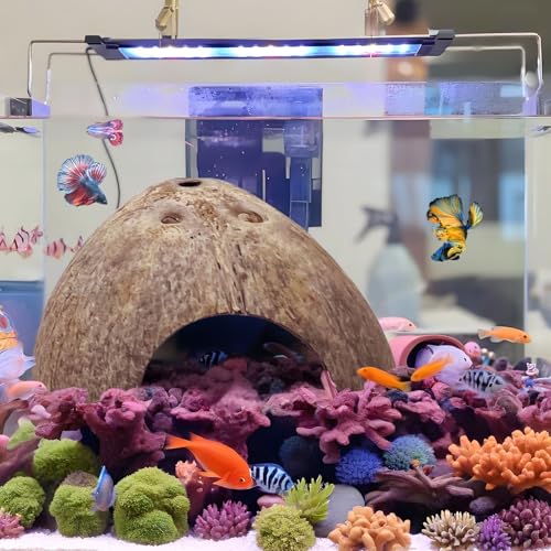7 Pcs Reptile Hideouts Natural Coconut Shells Hut Leopard Gecko Tank Accessories for Aquarium Fish Hermit Crab Hide Cave Small Snake Tarantulas Lizard Chameleon (6 Pack Smooth)