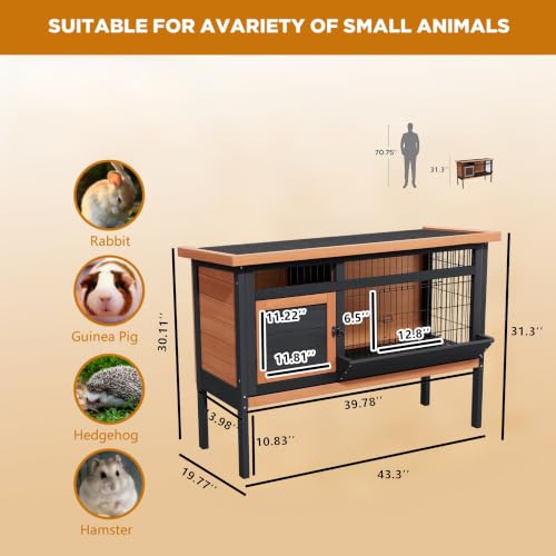 Elevated Rabbit Hutch Indoor & Outdoor (C02 Orange with Black)