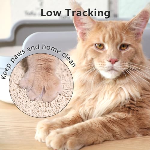 Low Dust Odor Control Flushable Tofu Cat Litter 24LB (6lb x 4bags / Original Flavor)