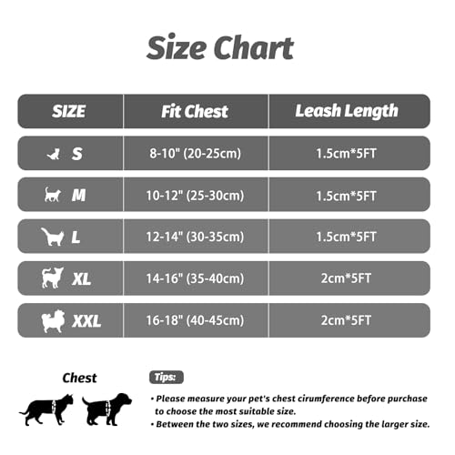 Gray Escape Proof Cat Harness & Leash Set (Gray / XL(Chest 14-16"))