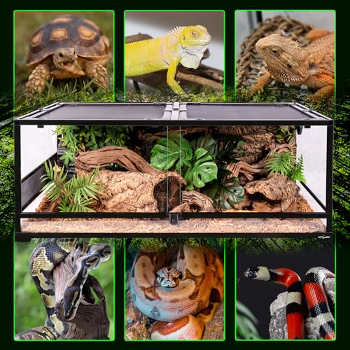 48''x24''x18'' Glass Reptile Terrarium (Large)
