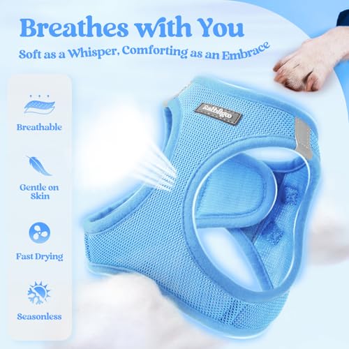 Dog Harness Medium Sized and Leash Set (Blue / Xxl (chest: 21.6 - 23.7"))