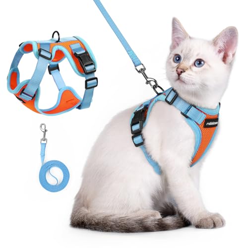 Cat Harness and Leash Set (Orange & Light Blue / Xxs)