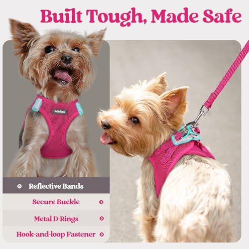 Dog Harness Small Sized and Leash Set (Rose Red / Xxs (chest: 12.4 - 14.2"))