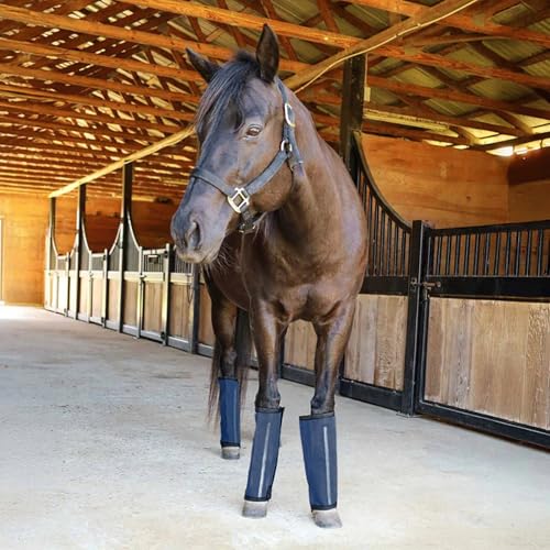 Equine Romper Stomper Fly Boots for Horses (Navy / Small)