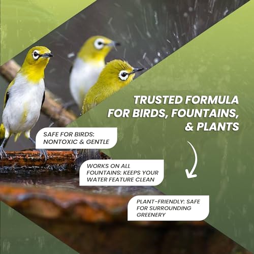 32oz Bird Bath Cleaner (32 oz)
