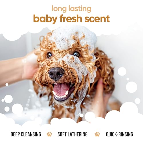 Oatmeal Dog Shampoo by Buddycare (50.72oz)