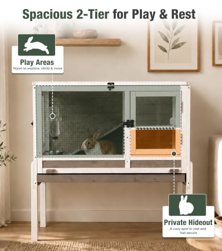 Guinea Pig Cage Indoor with Chew (Brown)