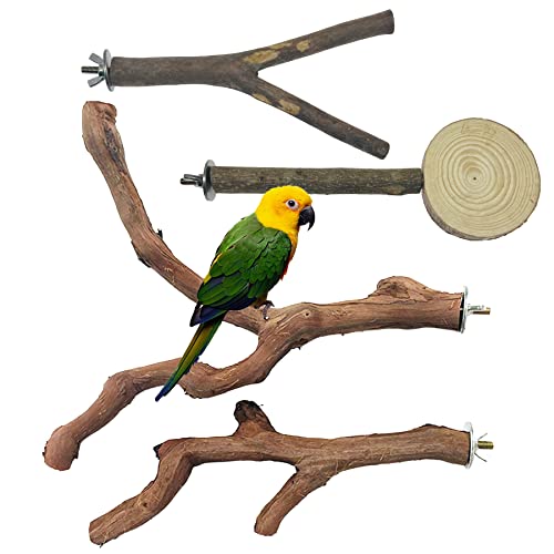 4 PCS Natural Wood Bird Perch Stand