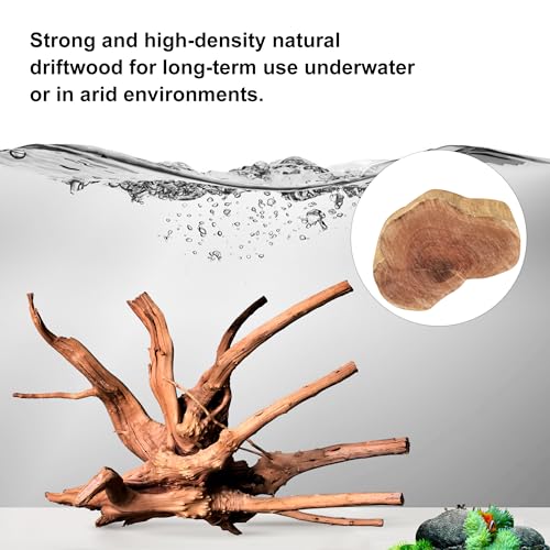 Natural Small Driftwood for Aquarium Decor Fish Tank Decor Reptile Decor (Spiderwood 2 to 4.5 Inch(Pack of 10))