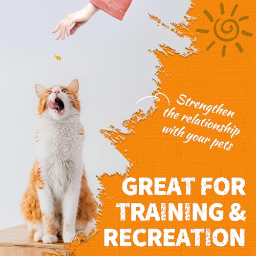 36 OZ Pumpkin Cat Treats Salmon for Digestive Health (2.25 Pound (Pack of 1))