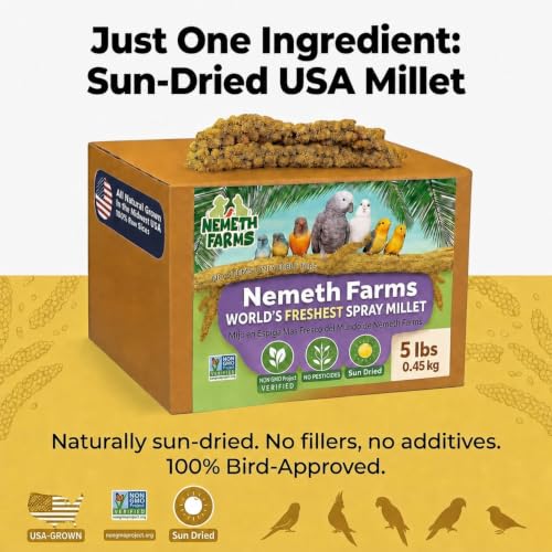 Spray Millet Edible Tops Only (5 Pound (Pack of 1))